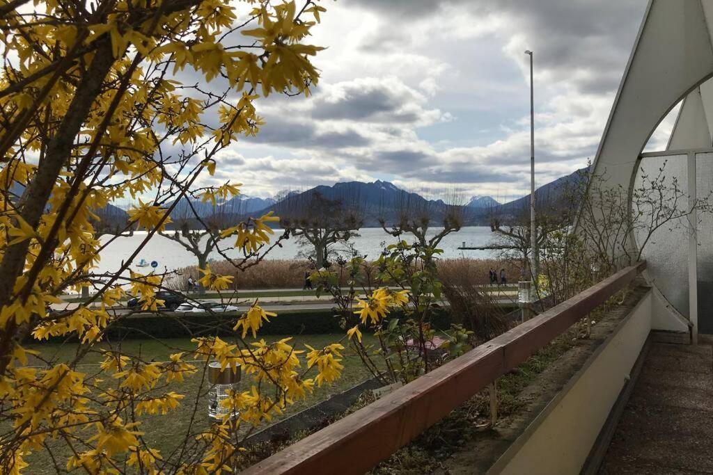 CHEZ JACQUES - terrasse avec vue lac et montagne Annecy Extérieur photo